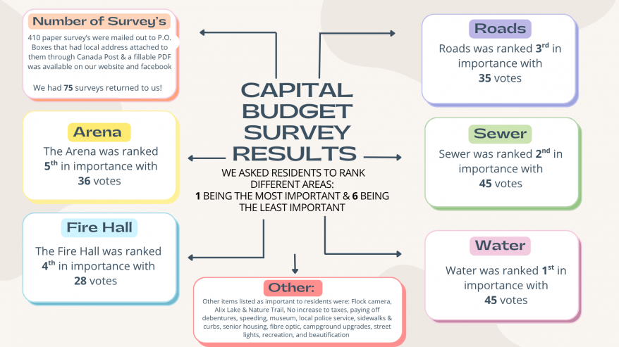 capital buget survey results.png